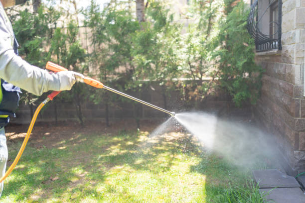 Professional Pest Control in Winter Garden, FL